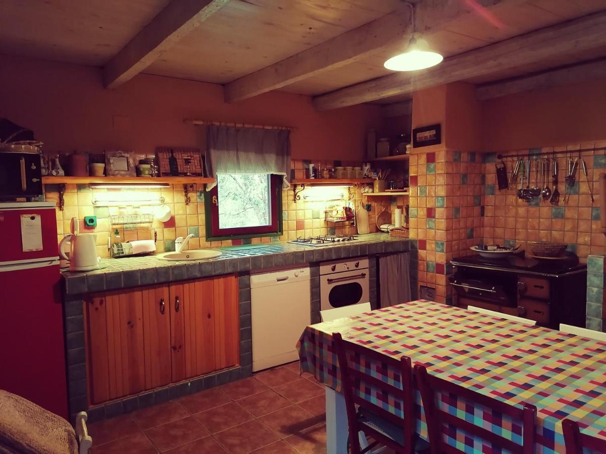 אוטוצאץ Holiday Home Modric מראה חיצוני תמונה
