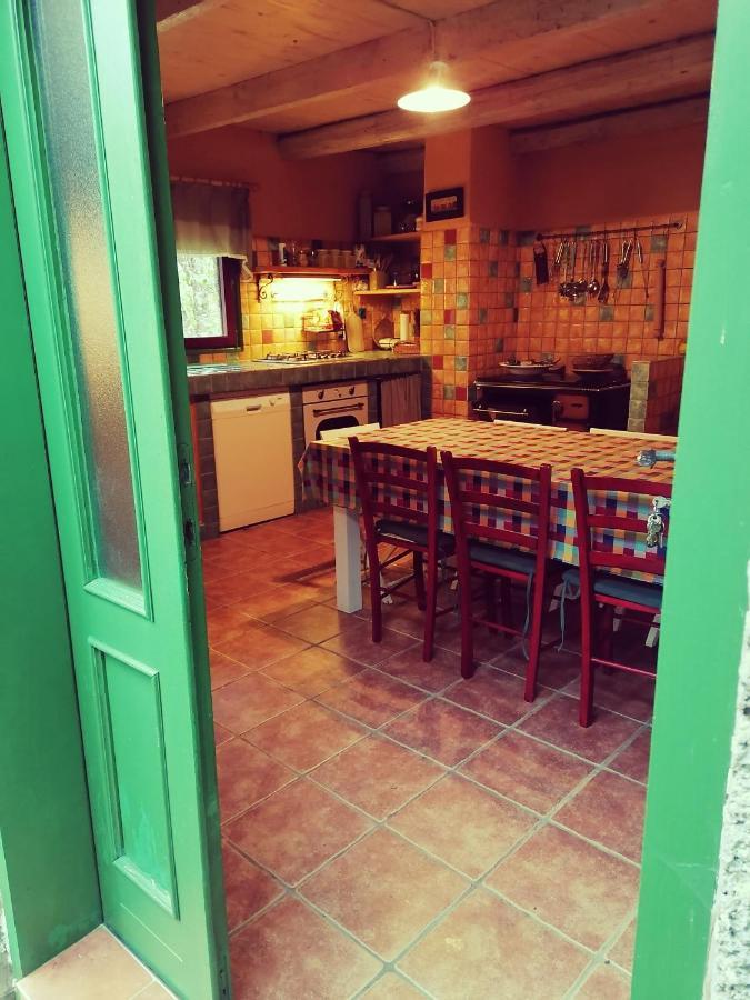 אוטוצאץ Holiday Home Modric מראה חיצוני תמונה